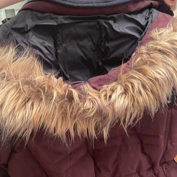 Tommy Hilfiger - plum coat - Picture 5 of 5